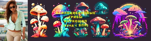 mix Богородицк