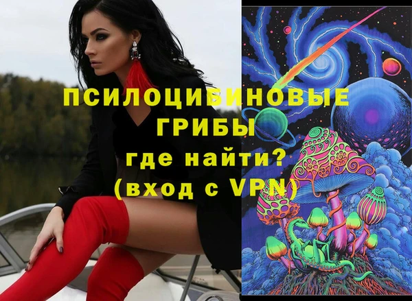 mix Богородицк